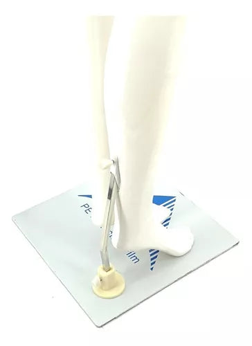 Maniquí Mujer Dama color Blanco de Cuerpo Completo