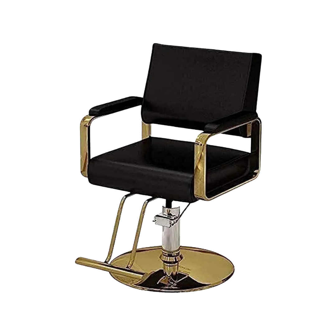 Silla Manga de Acero Inoxidable Para Peluquería Venzhop