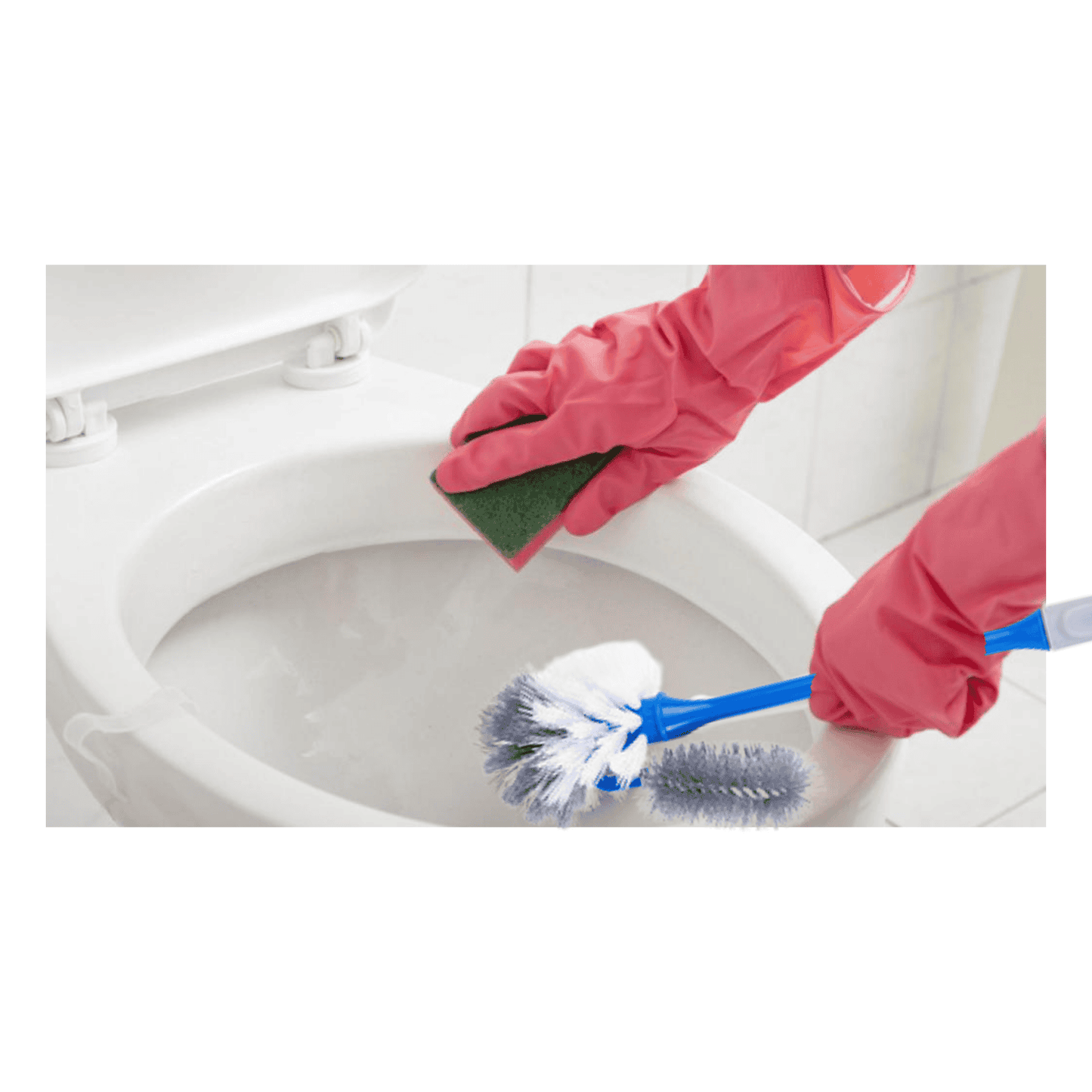 Escobilla Cepillo de Baño Limpia Bode WC