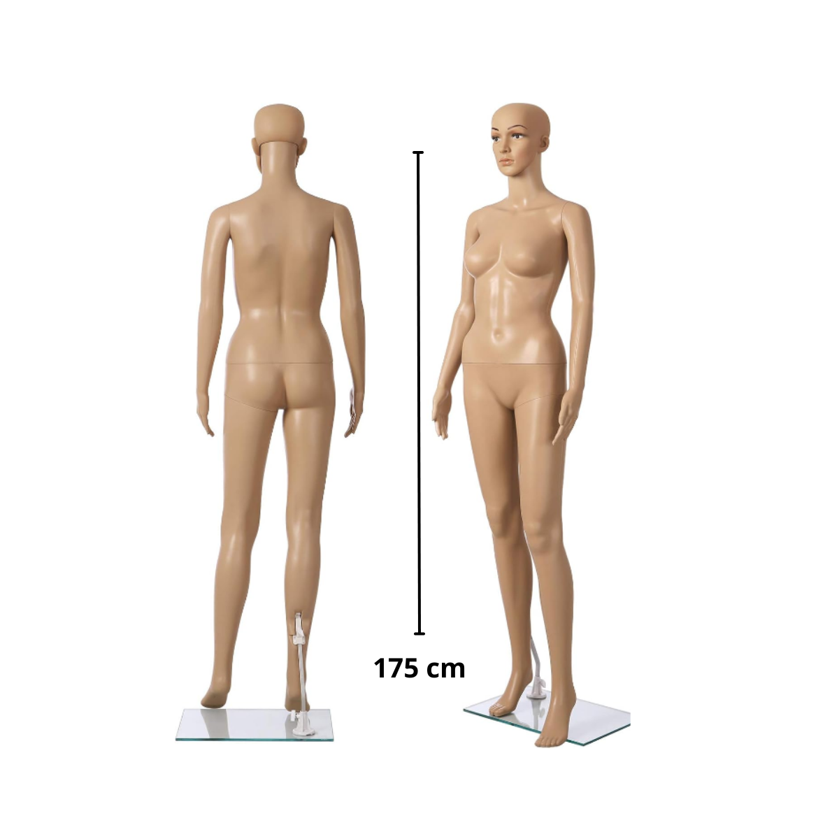 Maniqui Dama mujer Cuerpo Completo color piel
