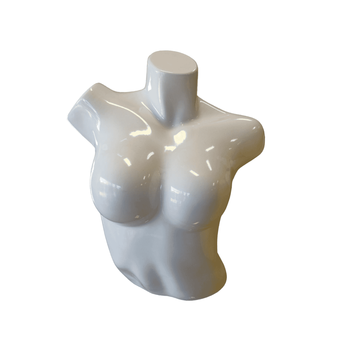 Torso Exhibidor de lenceria de Dama Plástico Variedad de Colores