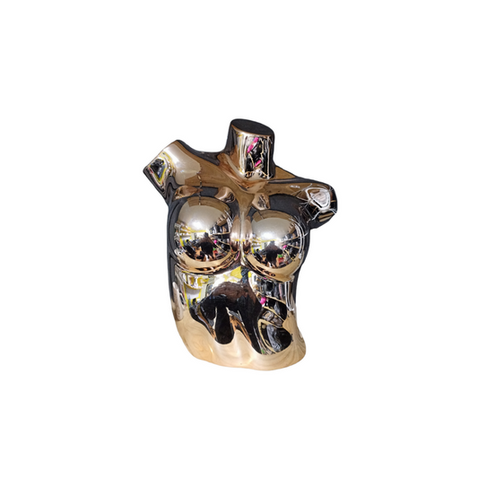 Torso Exhibidor De Lenceria De Damas