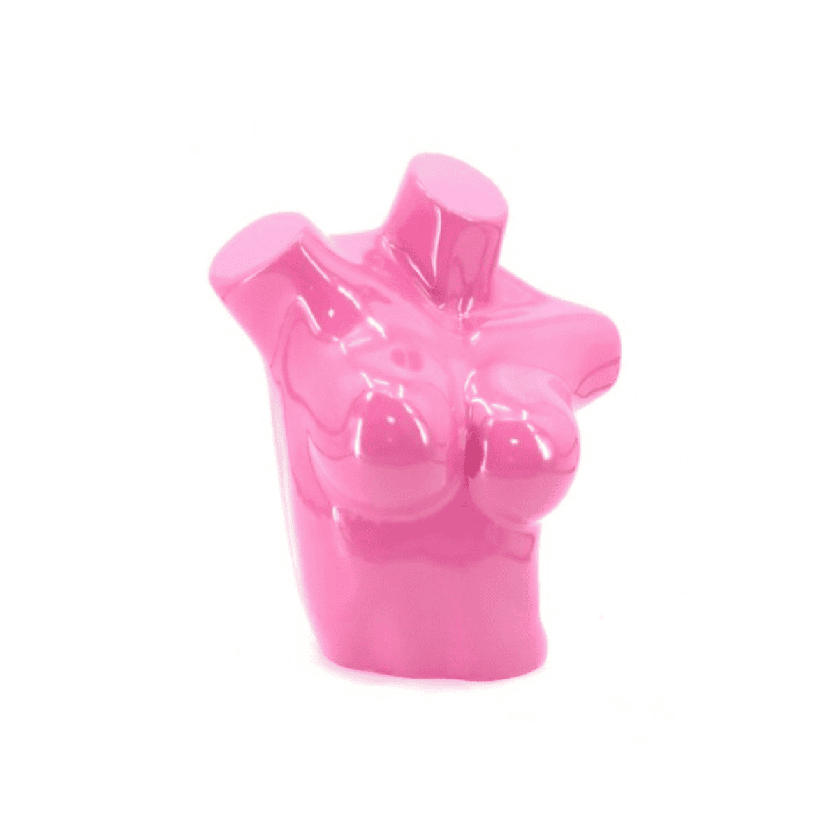 Torso Exhibidor de lenceria de Dama Plástico Variedad de Colores