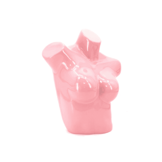 Torso Exhibidor de lenceria de Dama Plástico Variedad de Colores